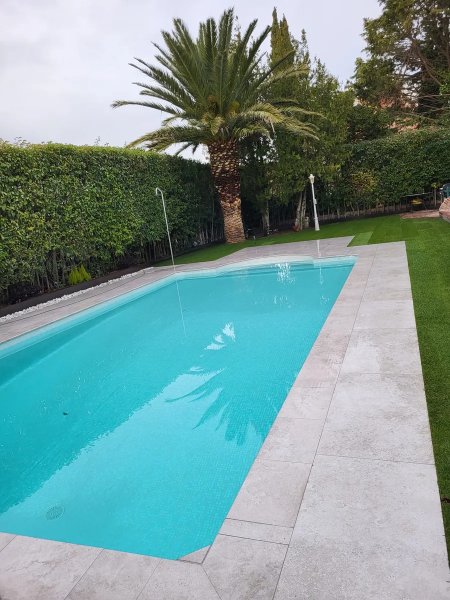 Piscina con palmera, seto recortado y césped