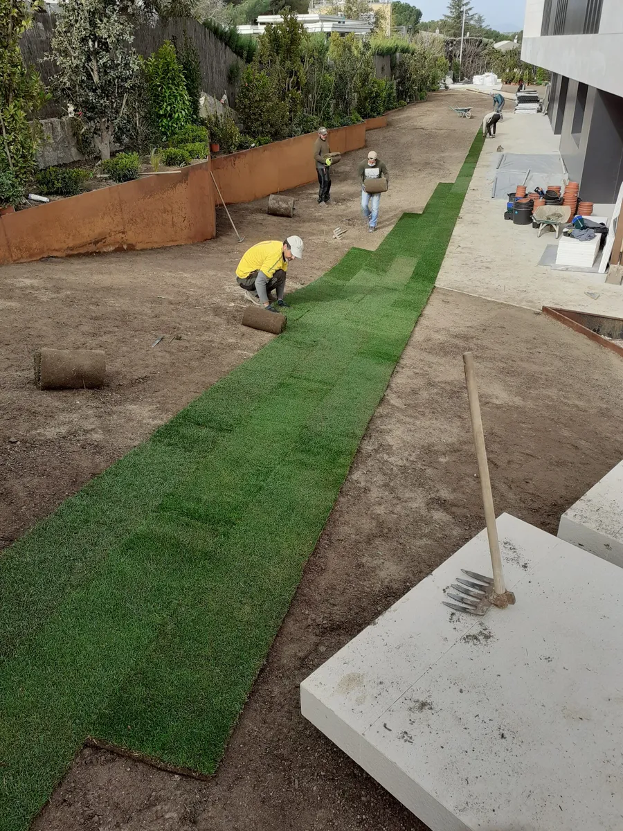 Colocación de tepes de césped en una parcela en obras
