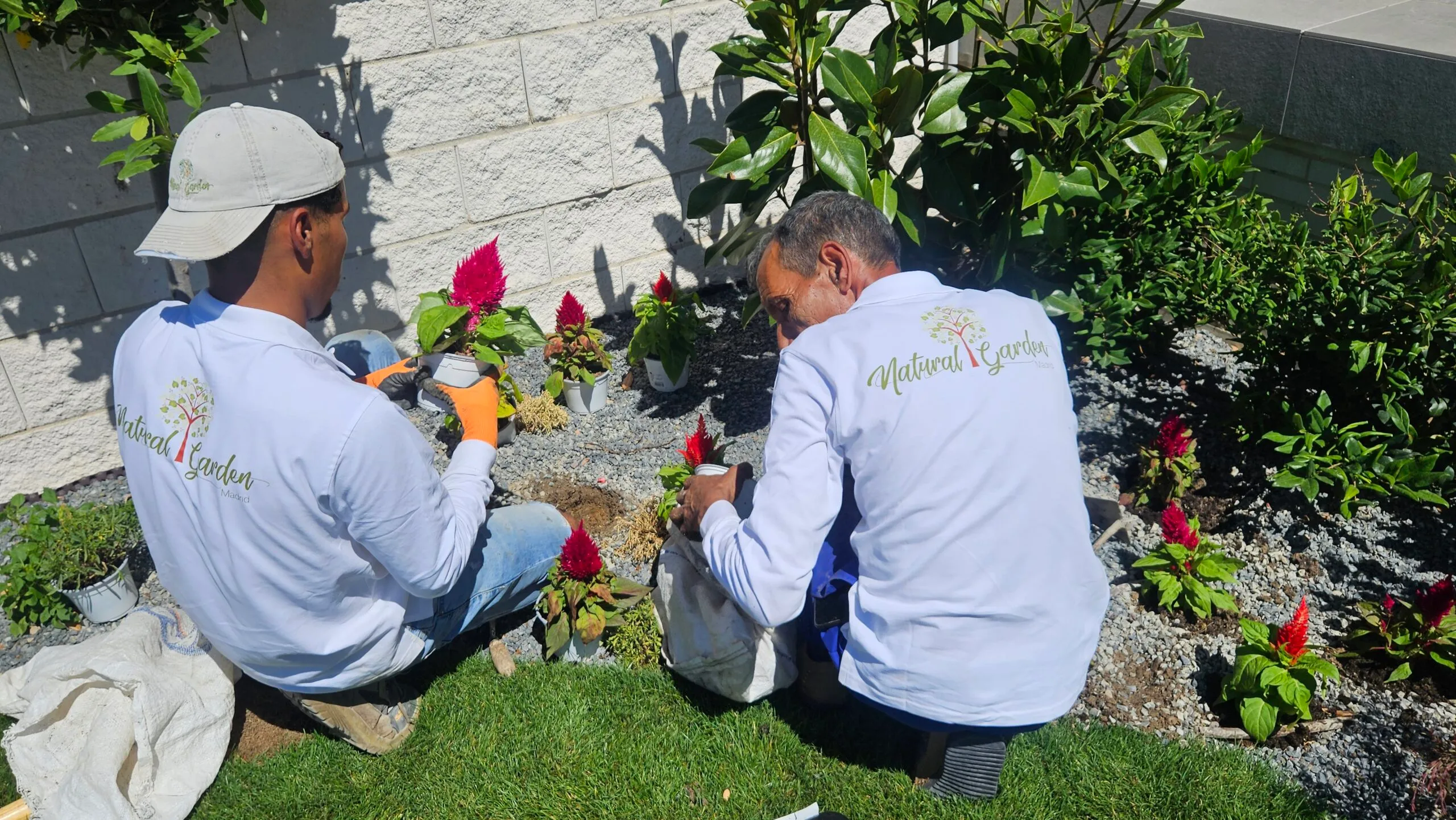 Jardineros de Natural Garden plantando en un jardín