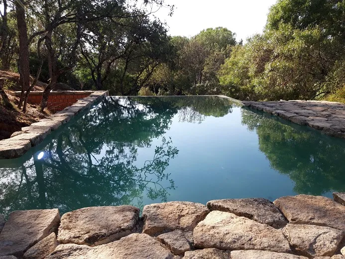 Piscina con borde de piedra irregular y agua en calma, entre encinas