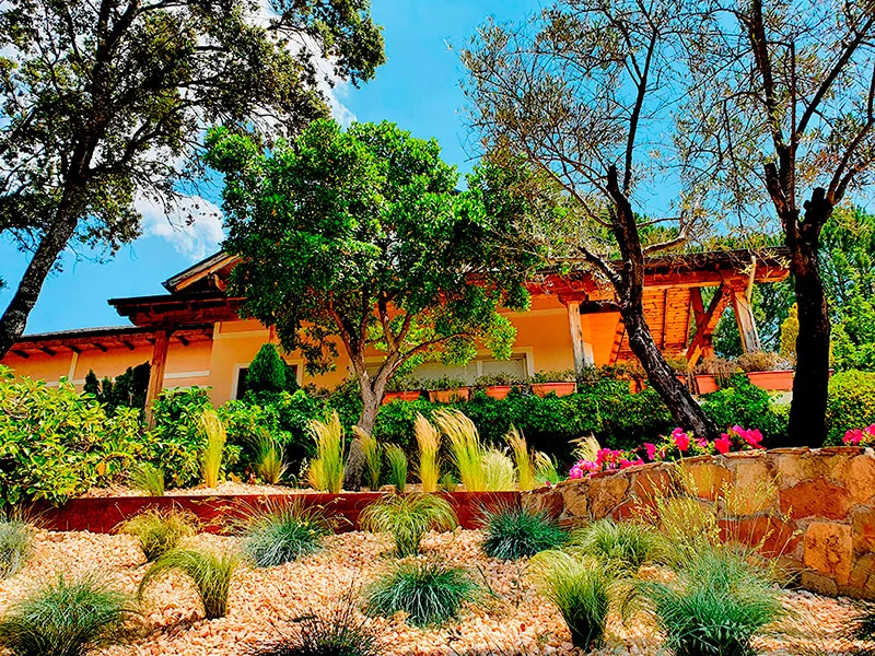 Jardín con casa de madera, olivos y macizos de flor