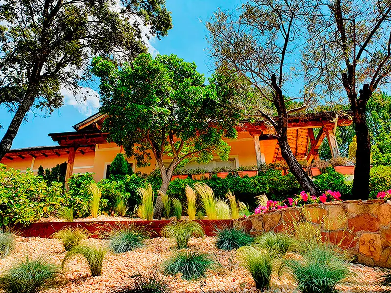 Jardín con casa de madera, olivos y macizos de flor