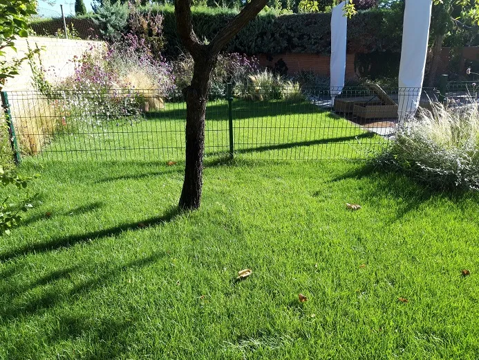 Césped y arbolado de un jardín ya establecido
