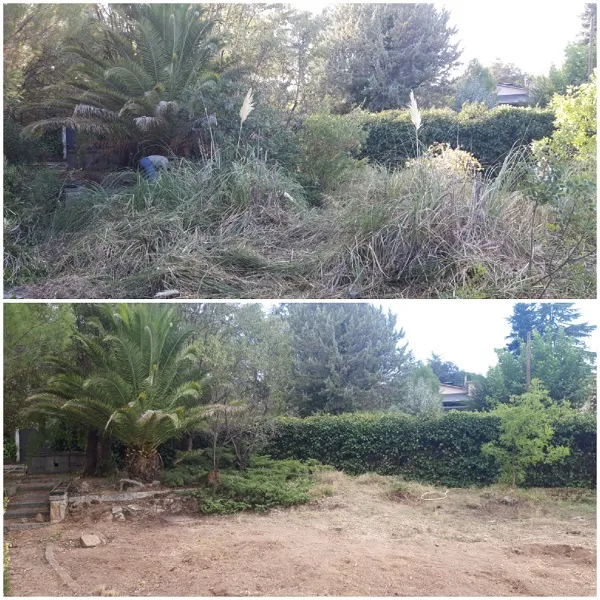 Parcela con maleza y la misma zona después del desbroce