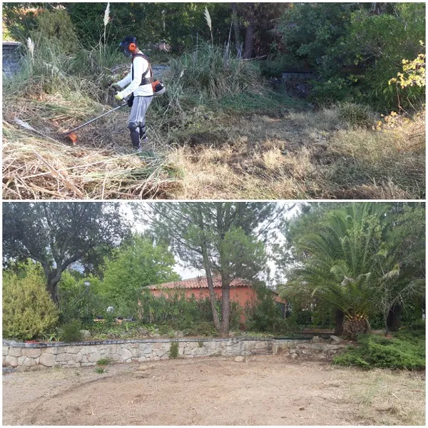 Desbroce de una parcela: el operario entre la maleza y el terreno ya limpio